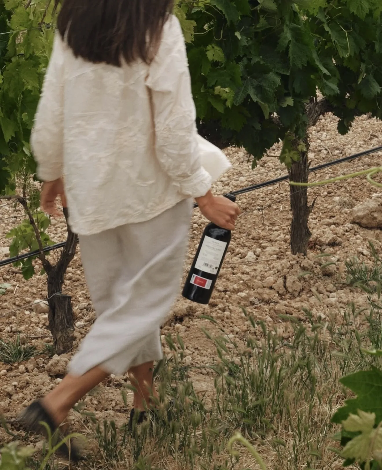Caminando entre viñedos con una botella de vino